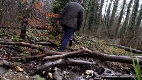 Venkovská krajina s pozdním podzimním lesem pod deštěm na zamračeném pozadí oblohy. Záběry ze skladu. Zadní pohled na dva muže kráčející podél pokácených stromů a holých stromů pokrytých mlhou. — Stock video