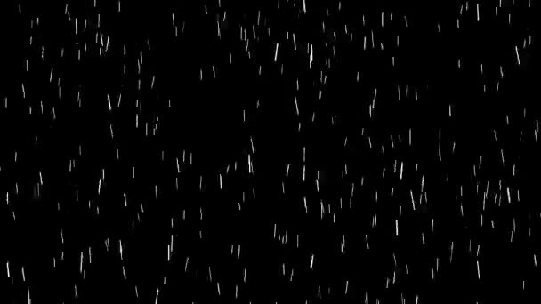 Abstrakte weiße Regentropfen bewegen sich schnell von unten nach oben auf einem Bildschirm auf schwarzem Hintergrund, Seamles-Schleife. Animation. Abstrakter Regen mit fliegenden Tröpfchen, monochrom. — Stockvideo