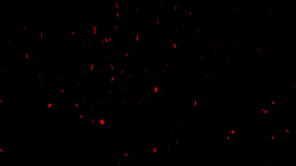 Chispas rojas ardientes que se elevan en el aire sobre fondo negro. Animación. Hermoso fondo abstracto sobre el tema de fuego, luz y vida . — Vídeos de Stock