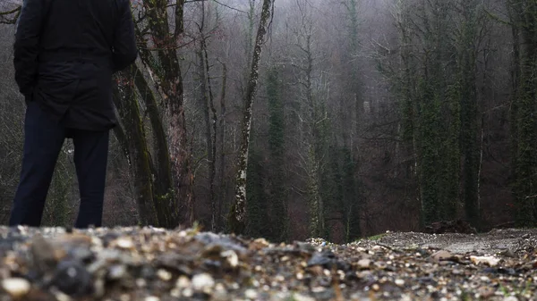 Vista trasera de un hombre de pie frente al bosque de otoño bajo la lluvia. Imágenes de archivo. Clima frío de otoño y árboles húmedos brumosos bajo la fuerte lluvia . — Foto de Stock