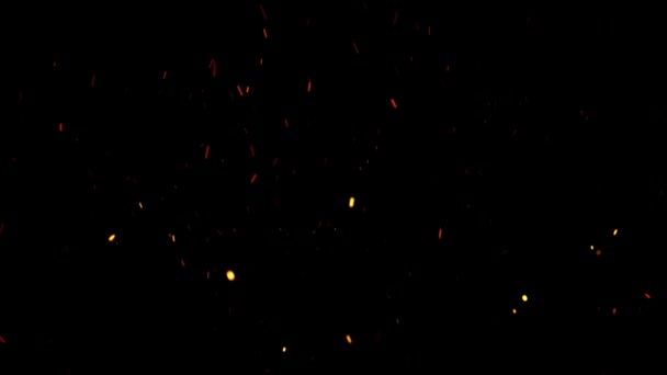 Des étincelles rouges chaudes s'élèvent en l'air sur fond noir. Animation. Beau fond abstrait sur le thème du feu, de la lumière et de la vie .