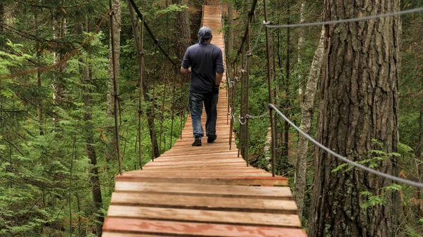 Rear view of male tourist crossing wooden suspension bridge in green forest. Stock footage. Back view of a man walking on the wooden bridge among summer green trees, active lifestyle concept. — 图库照片