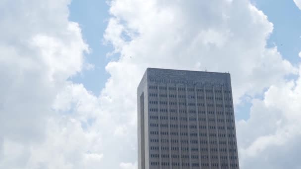Cima di grattacielo con uccelli volanti su sfondo di cielo azzurro. Azione. Bella vista della cima di grattacielo con uccelli impennata — Video Stock