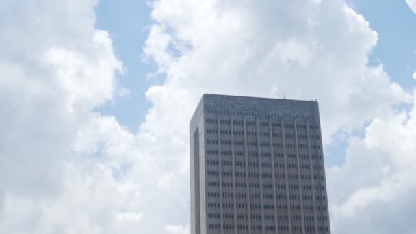 Hoogbouw met vliegende vogels op de achtergrond van de blauwe lucht. Actie. Prachtig uitzicht op de top van hoogbouw met zwevende vogels — Stockvideo