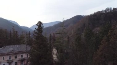 Aerial drone view of old demolished residential houses surrounded by pine tree forest. Shot. Destruction and ruins of abandoned living area.