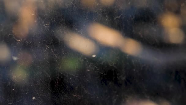 Close up of dusty and dirty glass texture with sun shining through it. Shot. Looking through the dirty window with light flares. — Wideo stockowe