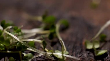 Vitamin dietary microgreen of mustard falling down on wooden rustic surface, food and gastronomy concept. Stock footage. Close up of fresh green mustard sprouts on wooden table.