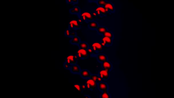 DNA abstrato dupla hélice de cor vermelha escura girando sobre fundo preto, loop sem costura. Animação. Conceito de ciência futurista e medicina . — Vídeo de Stock