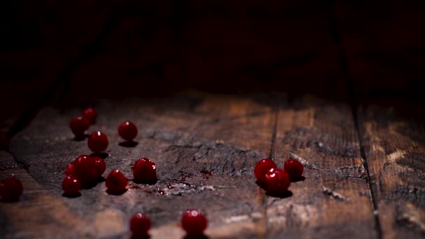 Ripe fresh cranberries falling down on the dark wooden rustic table. Stock footage. Close up of wooden surface and falling red berries. — Wideo stockowe