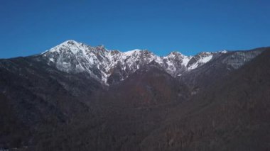 Mavi gökyüzü arka planında kar manzaralı dağları kapladı. Şarjör. Yamaçlarda büyüyen ağaçları olan yüksek kayalıklı kış manzarası..