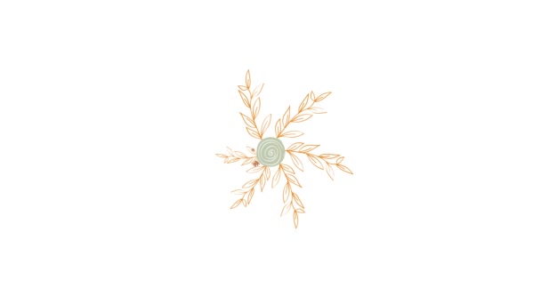 Fleurs colorées abstraites Isolé sur un fond blanc. Animation. Cercle ornemental décoratif de fleurs schématiques et pétales . — Video