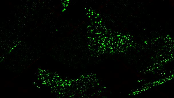 点と点滅セル、技術プレゼンテーションの概念によって形成された世界地図とデジタル背景。アニメーション。黒い背景に緑の流れる大陸、シームレスなループ. — ストック動画