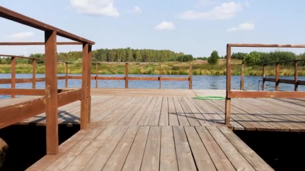 Wood pier above the river and the forest with meadow on the opposite shore. Stock footage. Summer rural landscape with green trees and grass, river and pier. — Stock Video