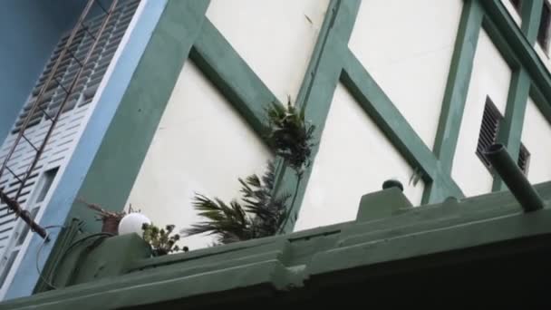 Вид знизу на стіну будинку з зеленими рослинами, що ростуть неподалік. Дія. Сильний вітер переміщує листя рослин, концепція стихійних лих . — стокове відео
