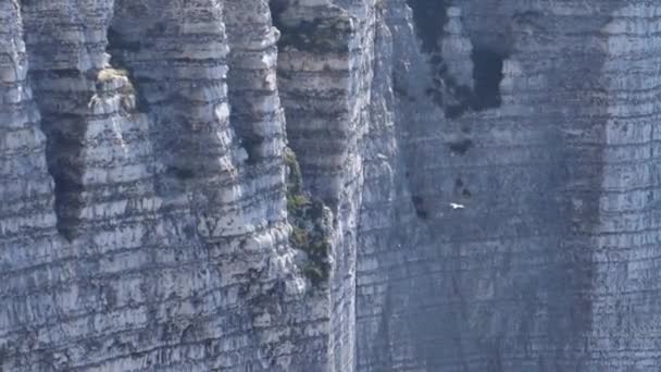 Gli alti ripidi argini sono in armonia con il verde dell'erba e dei gabbiani volanti. Azione. Veduta aerea delle formazioni rocciose naturali in una giornata estiva soleggiata . — Video Stock