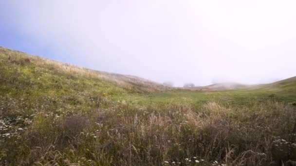 Paisaje de la montaña durante el día soleado con niebla y cielo nublado. Acción. Impresionante pendiente de la colina cubierta de hierba, flores con árboles en crecimiento en la niebla gruesa lejos en la distancia . — Vídeos de Stock