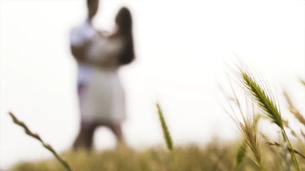 Close up view of ears of wheat at the blurred background of the kissing newlyweds, romance and family concetpt. Action. Green grass and defocused loving and hugging couple. — Stock Photo, Image
