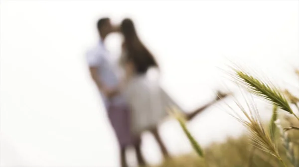 Close up view of ears of wheat at the blurred background of the kissing newlyweds, romance and family concetpt. Action. Green grass and defocused loving and hugging couple. — Stock Photo, Image