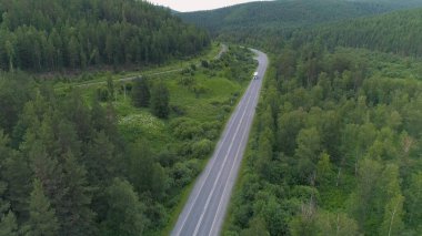 Kamyon yazın ormanın arka planında otoyol boyunca gider. Sahne. Şehirlerarası kargo taşımacılığı. Kamyon yeşil ormanları olan güzel yerlerden geçiyor.