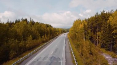 Ormanlar arasındaki güzel otobanın üst manzarası. Stok görüntüleri. Sonbaharda orman bölgesinden geçen güzel bir yol. Orman manzaralı güzel bir yolculuk.