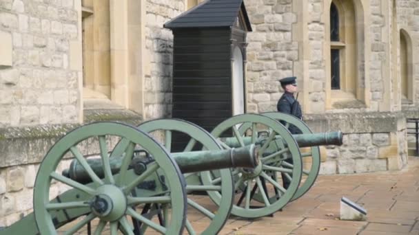 Старі гармати при вході до музею. Почали. Старі невеликі артилерійські гармати з дерев'яними колесами стоять біля входу в історичний музей. — стокове відео