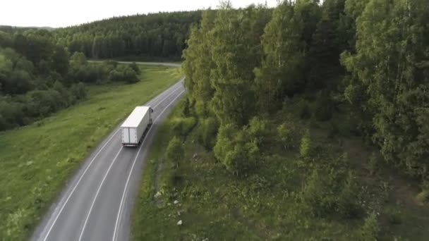 Vue aérienne de la route en béton et de l'herbe verte et des arbres qui poussent le long de celle-ci, chariot blanc avec des marchandises se déplaçant sur la route vide. Scène. Concept des services de transport et de fret .
