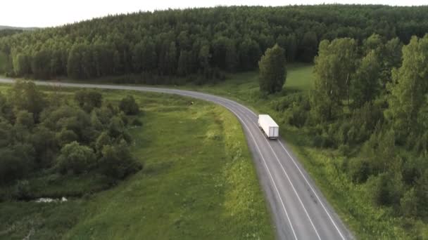 Вид с воздуха на бетонную дорогу и зеленую траву и деревья, растущие вдоль нее, белый вагон с товарами, движущимися по пустой дороге. Сцена. Концепция транспортных и грузовых услуг . — стоковое видео