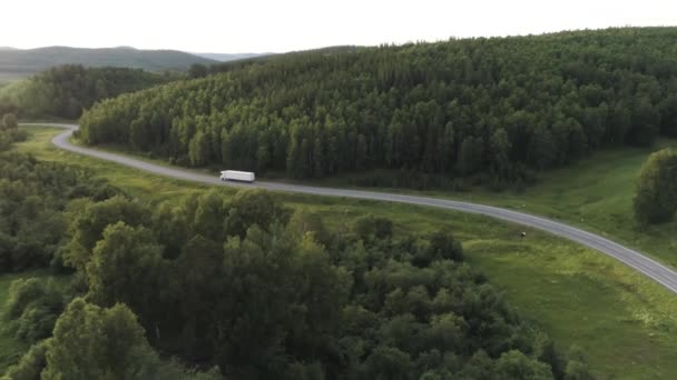 Vůz jedoucí po dálnici obklopený zelenými stromy, letecký výhled. Scéna. Doprava, logistika koncept, bílá kamion jízdy na prázdné silnici podél zeleného lesa. — Stock video