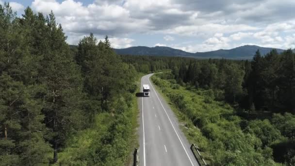 고속 도로에서 차를 몰고 녹색 나무들로 둘러쌓여 공중에서 바라볼 수있습니다. 장면. 교통, 물류 개념, 녹색 숲을 따라 빈 길을 운전하는 백인 트럭. — 비디오