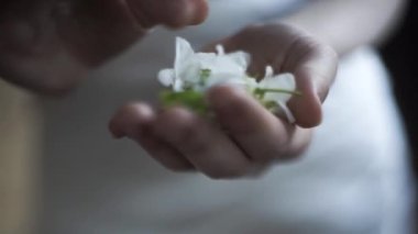 Beyaz elbisenin bulanık arka planında kadın ellerinin tutuşu ve narin çiçek tomurcuklarına dokunuşu. Görüntü. Bahar çiçekleri kadınların ellerinde.