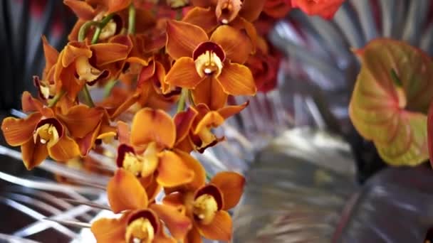Közelkép a virágzó narancssárga orchidea virágok elmosódott zöld levelek a háttérben. Felvétel. Fényes és gyönyörű orchidea trópusi virágok, virágos háttér. — Stock videók