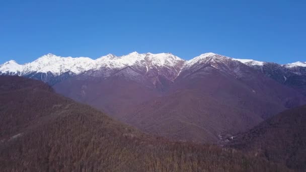 Hermosa vista aérea del bosque de otoño que crece en las laderas de las montañas. Clip. Impresionante paisaje de rocas con tapas nevadas sobre fondo azul claro del cielo . — Vídeo de stock