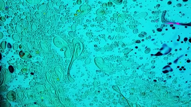 현미경 과 과학적 배경을 가지고 미세 한 박테리아의 근접 사진을 찍었습니다. 자료 화면이요. 감염, 의학, 생물학 개념, 파란색 액체 배경에 있는 미생물 과 미생물. — 비디오
