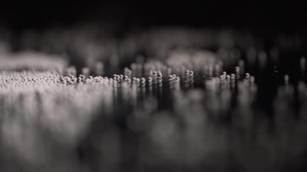 Κοντινό πλάνο των γκρίζων στρογγυλών κόκκων σε μαύρο φόντο. Στικ. Γκρι στρογγυλοί κόκκοι για καρυκεύματα ή διακόσμηση σε απομονωμένο φόντο — Αρχείο Βίντεο