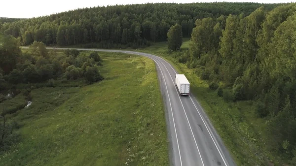 Wagon conduisant sur l'autoroute entouré d'arbres verts, vue aérienne. Scène. Transport, concept logistique, conduite de camion blanc sur la route vide le long de la forêt verte . — Photo