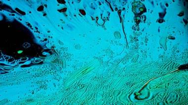 Mikroskop altında virüs hücreleri veya bakteriler. Stok görüntüleri. Mikroplara ya da mikroplara aşırı yakın, sıvı yüzeyde hareket eden mikroorganizmalar, tıbbi, hastalıklar arka planda.