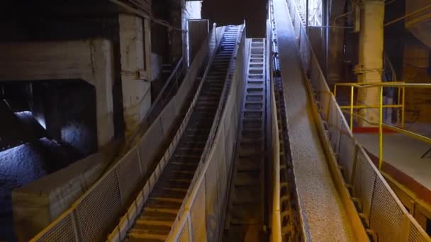 粉体原料の工場でコンベアベルト。ストック映像だ。粉末鉱物原料は、企業のコンベアベルト上で処理されます。 — ストック動画