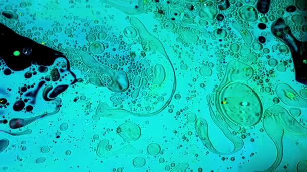 Virus cells or bacterias under microscope lens. Stock footage. Extreme close up of germs or microbes, moving microorganisms in liquid surface, medical, diseases background. — Stock Video