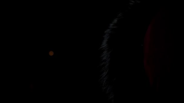 Fogos de artifício coloridos borrados no fundo do céu preto. Imagens de stock. Conceito de Ano Novo e Natal, visão traseira de uma mulher de jaqueta com capuz de pele olhando para fogos de artifício desfocado luzes redondas — Vídeo de Stock