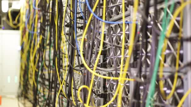 Gros plan de la pile organisée de fils électroniques colorés dans la salle de contrôle de la communication. Images d'archives. Détails de la salle de serveurs avec équipement à fibre optique, centre de données .