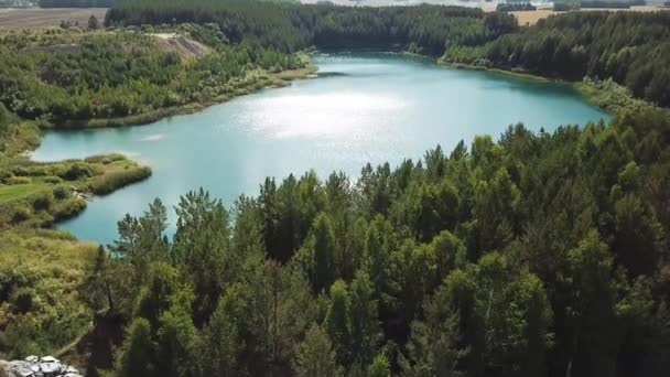 Flygfoto över grön skog och sjö strand. Lagerbilder. Flyg över hisnande sommar natur landskap med turkos sjö omgiven av tallskog. — Stockvideo