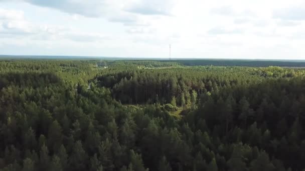 Vista aérea del bosque verde de coníferas sobre fondo nublado del cielo. Imágenes de archivo. Volando por encima del verano hermoso paisaje natural con pinos verdes . — Vídeos de Stock