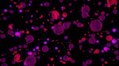 Coronavirus COVID bakterisi. Animasyon. Virüs salgını kan hücreleri, sağlık ve tıp bilimi teknolojisi kavramları arasında yayılıyor.
