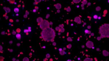 Coronavirus COVID bakterisi. Animasyon. Virüs salgını kan hücreleri, sağlık ve tıp bilimi teknolojisi kavramları arasında yayılıyor.