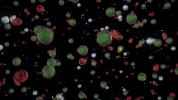 Batteri COVID del coronavirus nel sangue. Animazione. Infezione da virus che si diffonde tra le cellule del sangue, l'assistenza sanitaria e il concetto di tecnologia scientifica medica . — Video Stock
