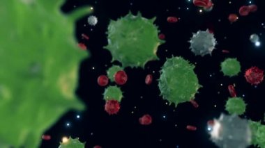 Siyah arka planda virüs ve kan hücreleri taşınıyor. Animasyon. Patojenler insan kanında dolaşır. Coronavirüs ya da COVID19 enfeksiyonu kapar.