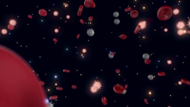 Virus et cellules sanguines. Animation. Les cellules du virus gris se déplacent au hasard dans le même espace que les cellules sanguines sur fond noir. Organisme infecté par le virus — Video