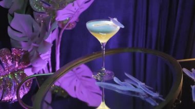 Mor arka planda martini bardağında alkollü kokteyl. Stok görüntüleri. Cam bir masada, leylak ışıklarının altında yumuşak tüyleri olan güzel bir içecek..