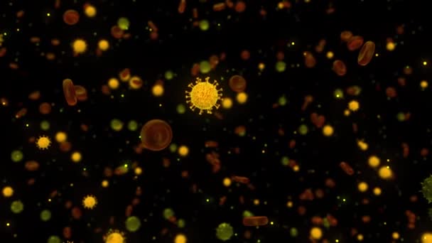Absztrakt fertőzött vér koronavírussal COVID 19 baktérium. Animáció. Mikroszkóp vérfertőzés, 3D-s vírussejtek az emberi vérben, a betegség fogalma, világjárvány és gyógyszer. — Stock videók