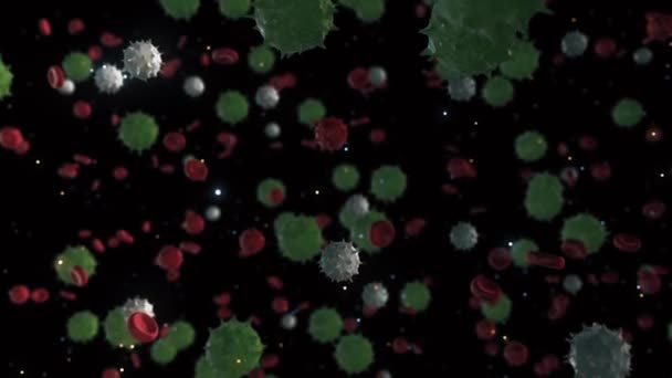 Abstrakcyjne zielone i białe bakterie wśród krwinek czerwonych. Animacja. Przepływ pracy układu odpornościowego zdrowego organizmu, mikrobiologii i koncepcji naukowej, płynna pętla. — Wideo stockowe